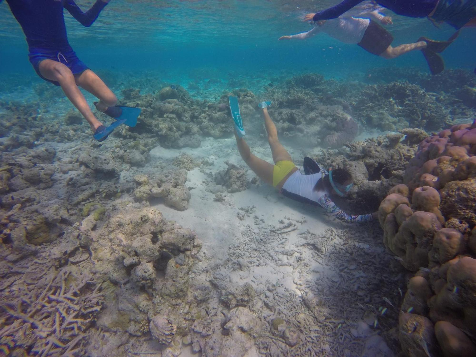 Kaafu Inn Guraidhoo Dış mekan fotoğraf