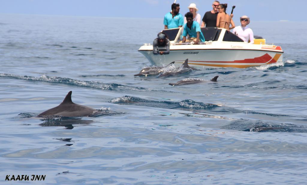 Kaafu Inn Guraidhoo Dış mekan fotoğraf