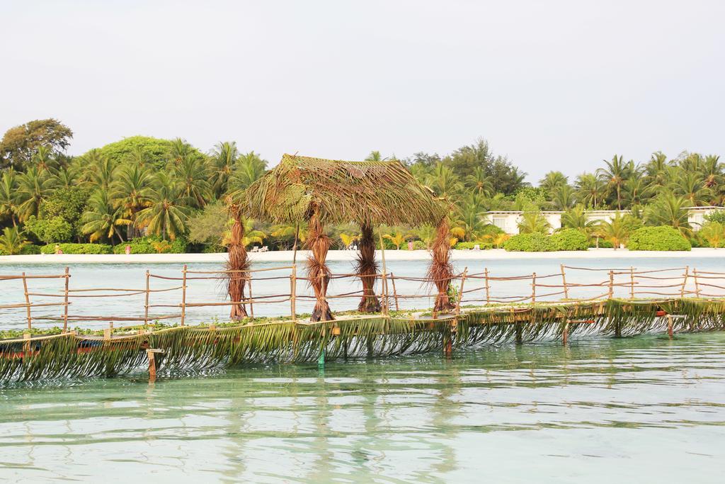 Kaafu Inn Guraidhoo Dış mekan fotoğraf