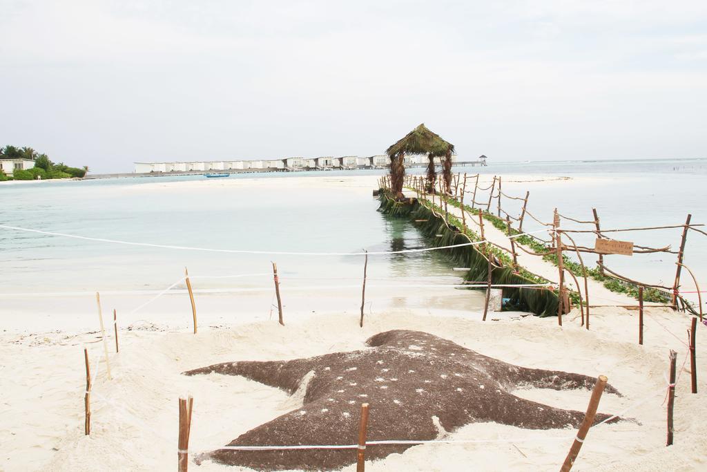 Kaafu Inn Guraidhoo Dış mekan fotoğraf