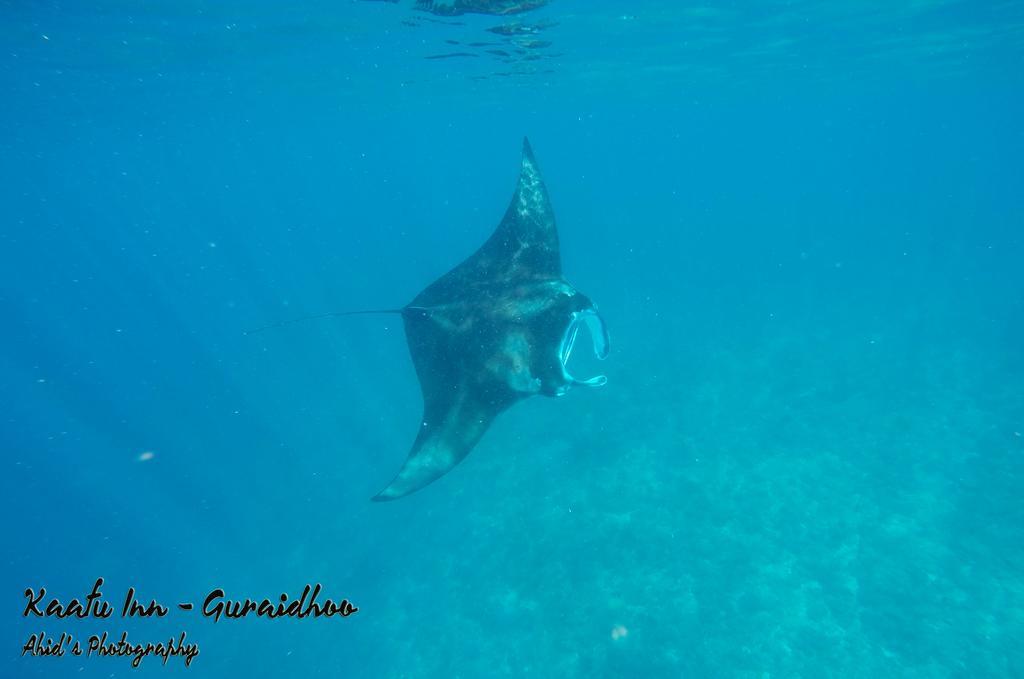 Kaafu Inn Guraidhoo Dış mekan fotoğraf
