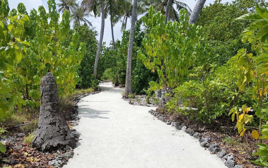 Kaafu Inn Guraidhoo Dış mekan fotoğraf